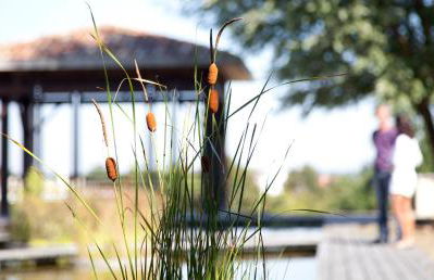 Résidence Les Vignes - Photo 17