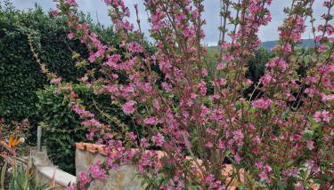 Casa dos Imos - Foto 2