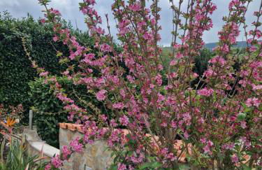 Casa dos Imos - Foto 2