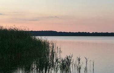 Haus 8 am Grimnitzsee mit Sauna - Photo 24