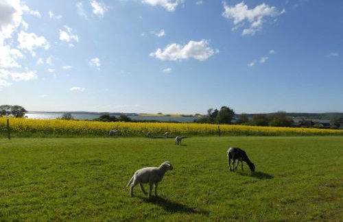 Ferienhaus Fischerhaus, Doppelhaushälfte, Terrasse und Garten, Lancken Granitz - Foto 15