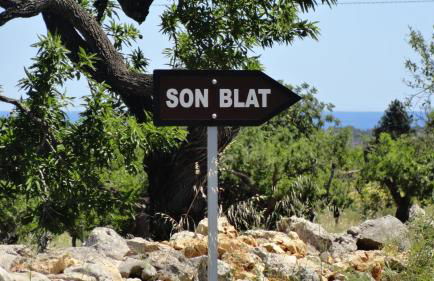 Finca Son Blat - Photo 16
