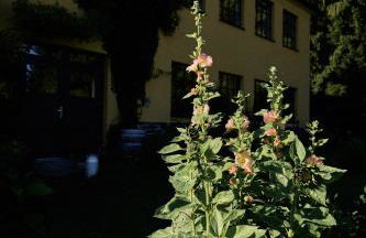 Blickinsfreie - Cabin - Foto 70