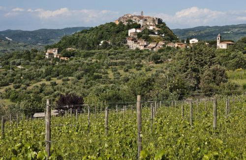 La Dragona - Foto 30