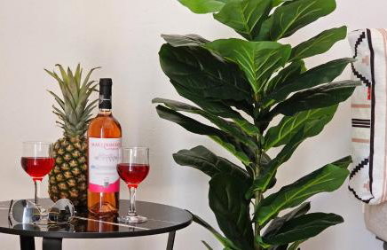 Plaka Philoxenia Apartments Milos - Foto 58