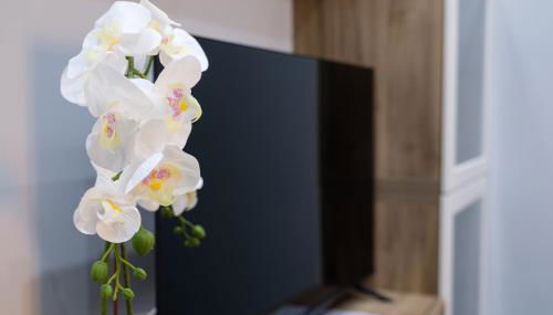 Dharma Apartment - Foto 5