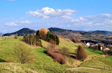 Górska Otulina - Foto 60