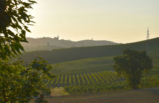 Cascina Tre Botti - Foto 41