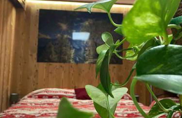 Residenze Vezza - La Corteccia- - Foto 26