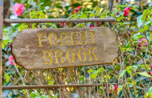 13 Mi to Beach! Forest Brook Creekfront Cabin - Foto 31