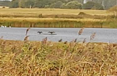 Chauffeur's, Snape - Foto 29