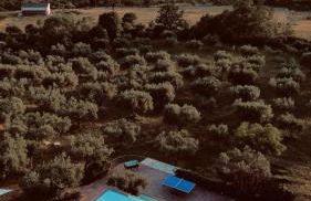 Azienda Agricola Passaro - Photo 1