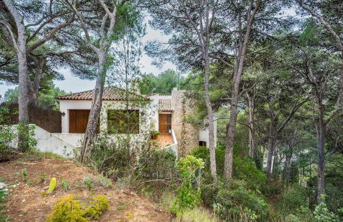 Tamariu Montagut Domain - Foto 9