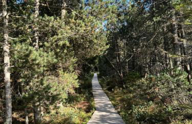 Apartment Schwarzwald-Anni Pool Tennis Sauna - Foto 40