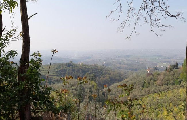 Farmhouse in Vinci's Time Capsule - Foto 32