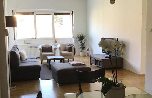 Spacious 3BR/2BT Apartment with A/C in City Center - Photo 1