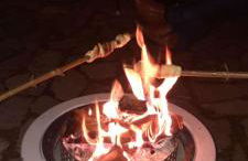 Ferienhaus Auszeit Harz Braunlage/Hohegeiß - Foto 39