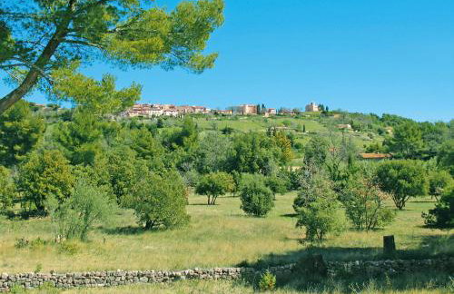 Holiday Home Le Mas du Magnoglia by Interhome - Foto 60