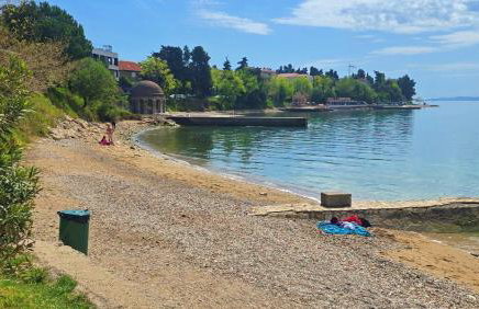 Suzy's botanica - Foto 16