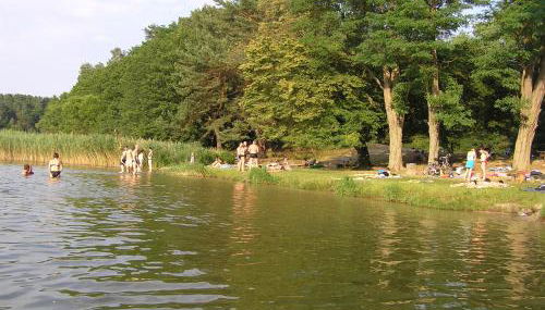 Ferienwohnungen Birkenhof - Foto 2