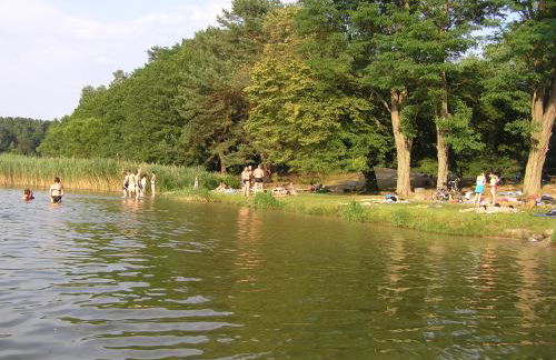 Ferienwohnungen Birkenhof - Foto 2