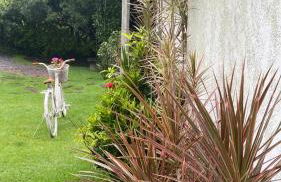 Alvorecer do Pepê - Foto 13