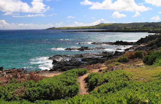 Kapalua Bay Villa 30g4 Ocean Front - Foto 22