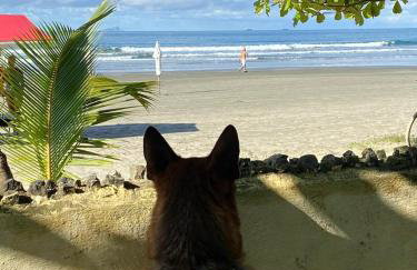 Pé na Areia - Casa para temporada - Foto 6
