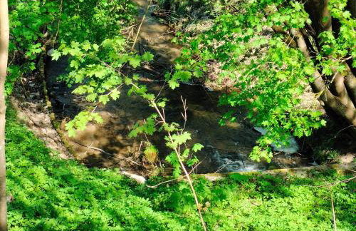 Leśna Chata kuracyjna nad rzeką z sauną w Borach Tucholskich - Foto 50