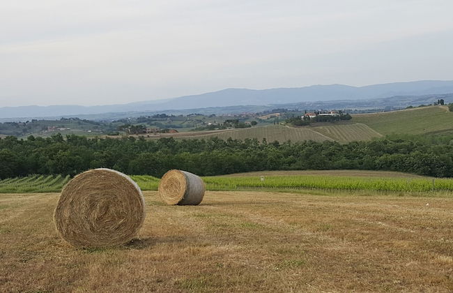 Agriturismo Podere Casa al Vento - Photo 37