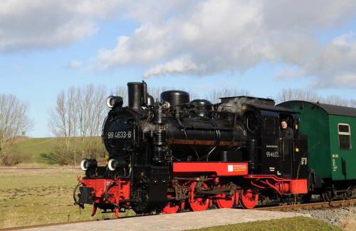 Ferienhaus an der Brunnenaue 4 Sterne, E-Ladestation am Haus, Wlan, Netflix, Garten - Foto 70