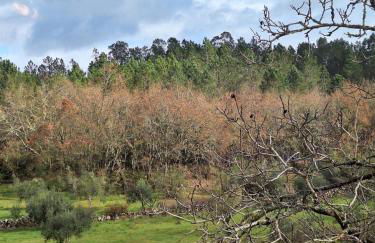 Casa do Pastana - Foto 20