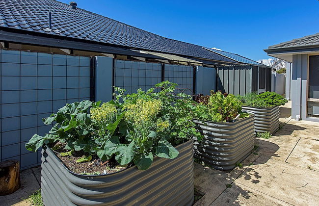 Aqua Tides - Photo 40