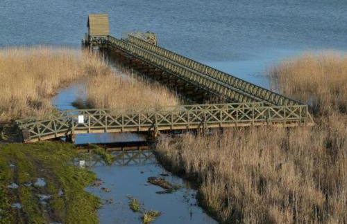 Agroturystyka Pod Dębami w Klukach - Foto 36