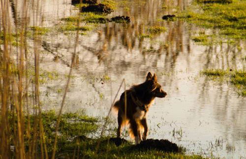 Spreebogenhof - Foto 30