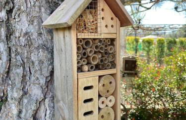 Le charme de Landra - Photo 19