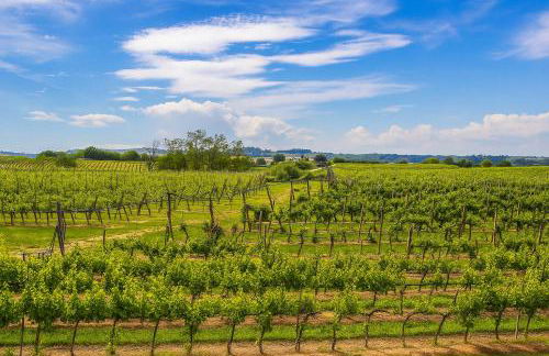 Trere Agriturismo - Foto 60