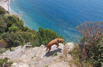 Casa a picco sul mare 5 terre - Foto 63