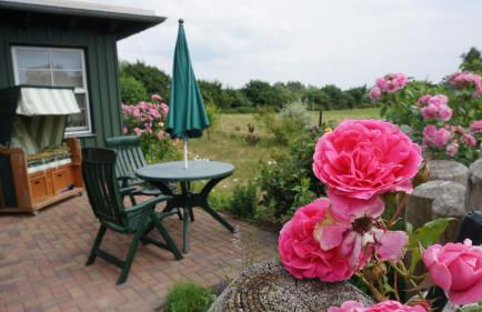 Atelierwohnung Götze - Foto 3