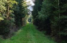 Haus Kellerwald - Ferienwohnung Kellerwald-Edersee - Foto 38