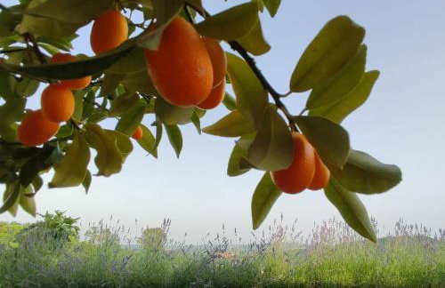 HillTop House - Foto 18