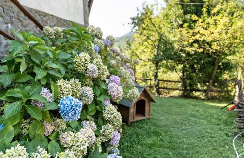 La Squazza - Foto 35