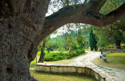 Pie' d'Ulivo - Foto 100