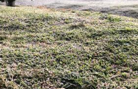 Rancho da Vovó Cleia 1 - Foto 21