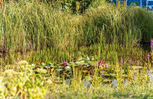 Ferienwohnung im Haus Ginkgo - Photo 31