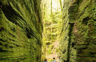 Exklusive Cabins am Rursee inmitten der Natur – mlab relax Eifel - Foto 56