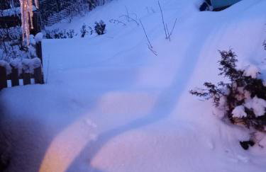 Haus Schönek - Foto 14