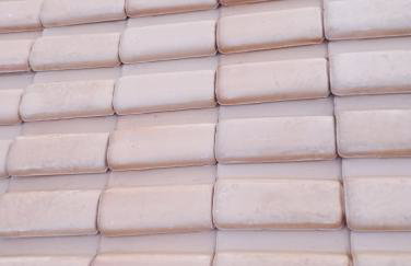 Jardim eden - Foto 1