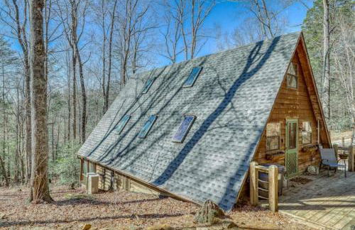 Bearly Behavin - Foto 32