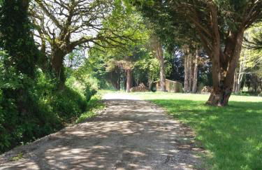 Le Chalet du Clos Giot - Foto 12